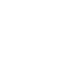Rev1913